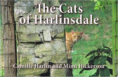 Cats of Harlinsdale